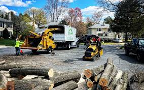 Best Organic Lawn Care Solutions  in Oak Lawn, IL
